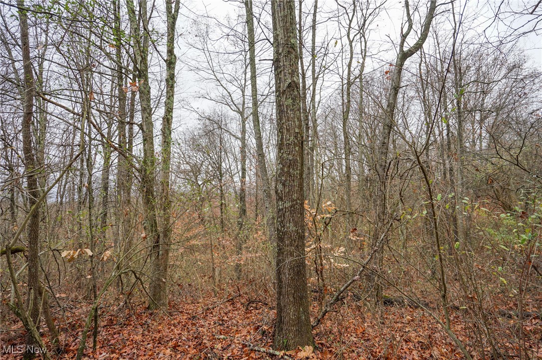 E Hoop Pole Ridge Rd Ne, Mcconnelsville, Ohio image 15