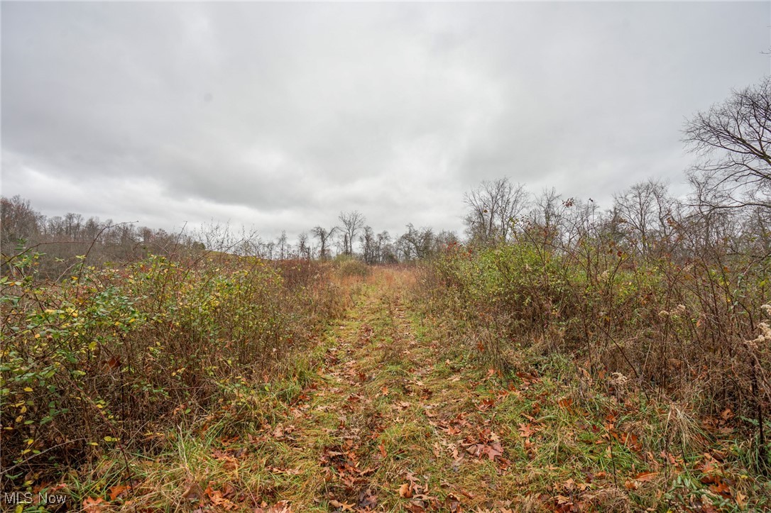 E Hoop Pole Ridge Rd Ne, Mcconnelsville, Ohio image 4