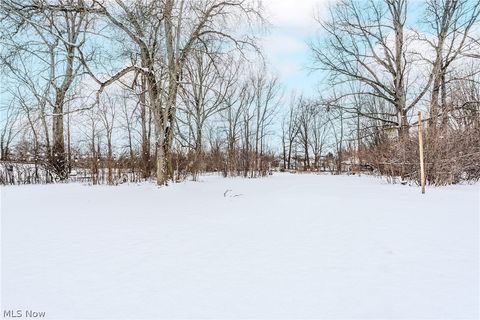 Tiny photo for 258 N Pleasant Street, Oberlin, OH 44074 (MLS # 5188806)