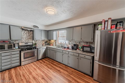 Tiny photo for 258 N Pleasant Street, Oberlin, OH 44074 (MLS # 5188806)