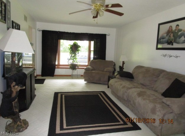 Braceville Township Sec 24 - Residential