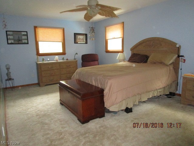 Braceville Township Sec 24 - Residential