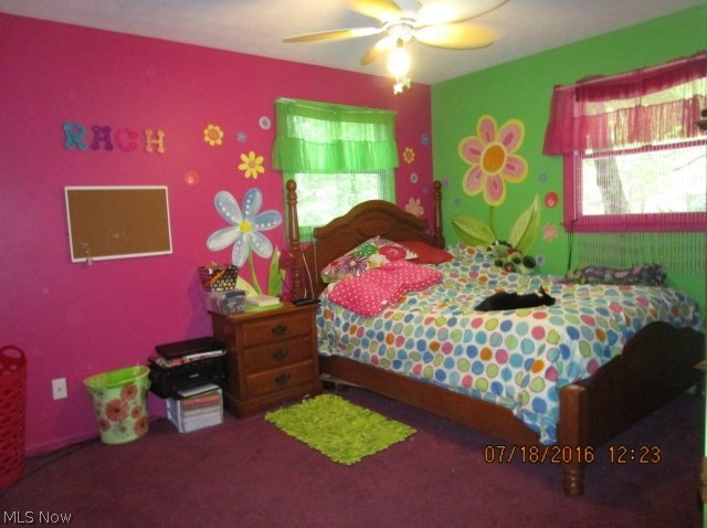 Braceville Township Sec 24 - Residential