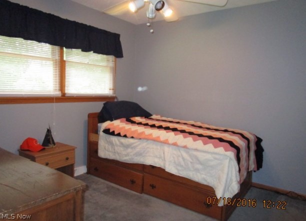 Braceville Township Sec 24 - Residential