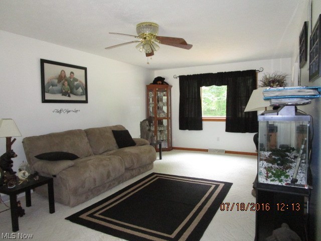 Braceville Township Sec 24 - Residential