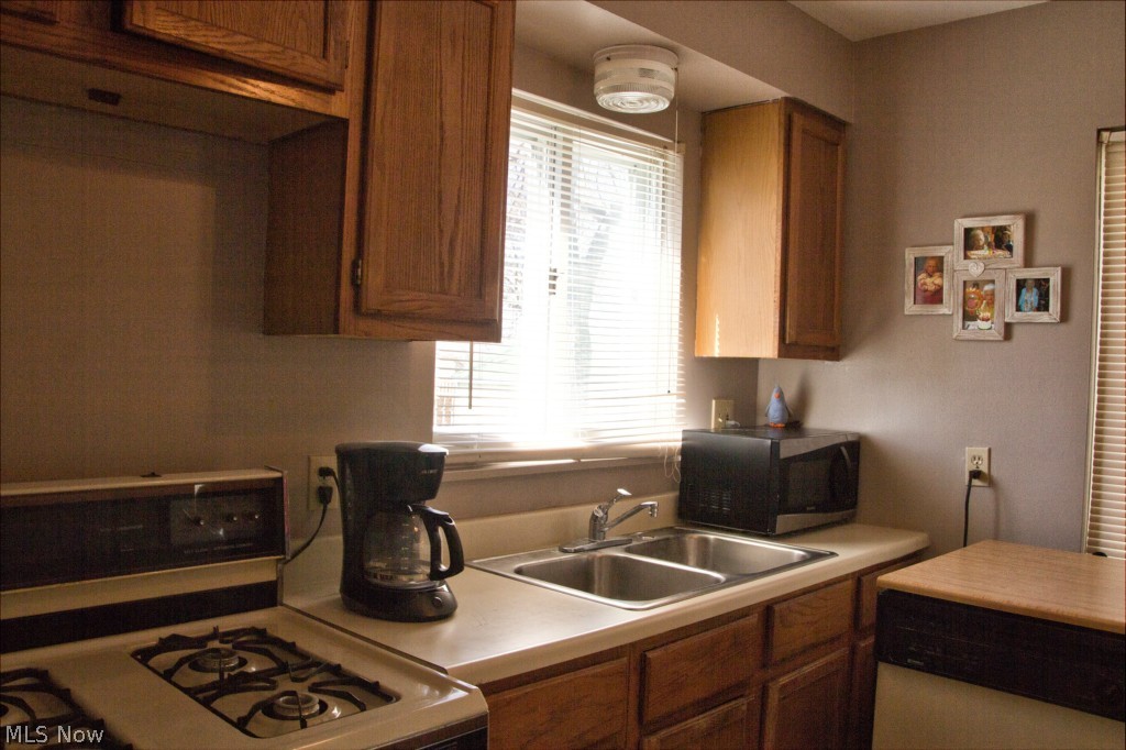 Butternut - Residential