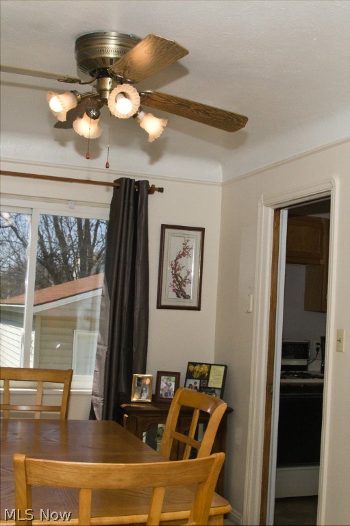 Butternut - Residential