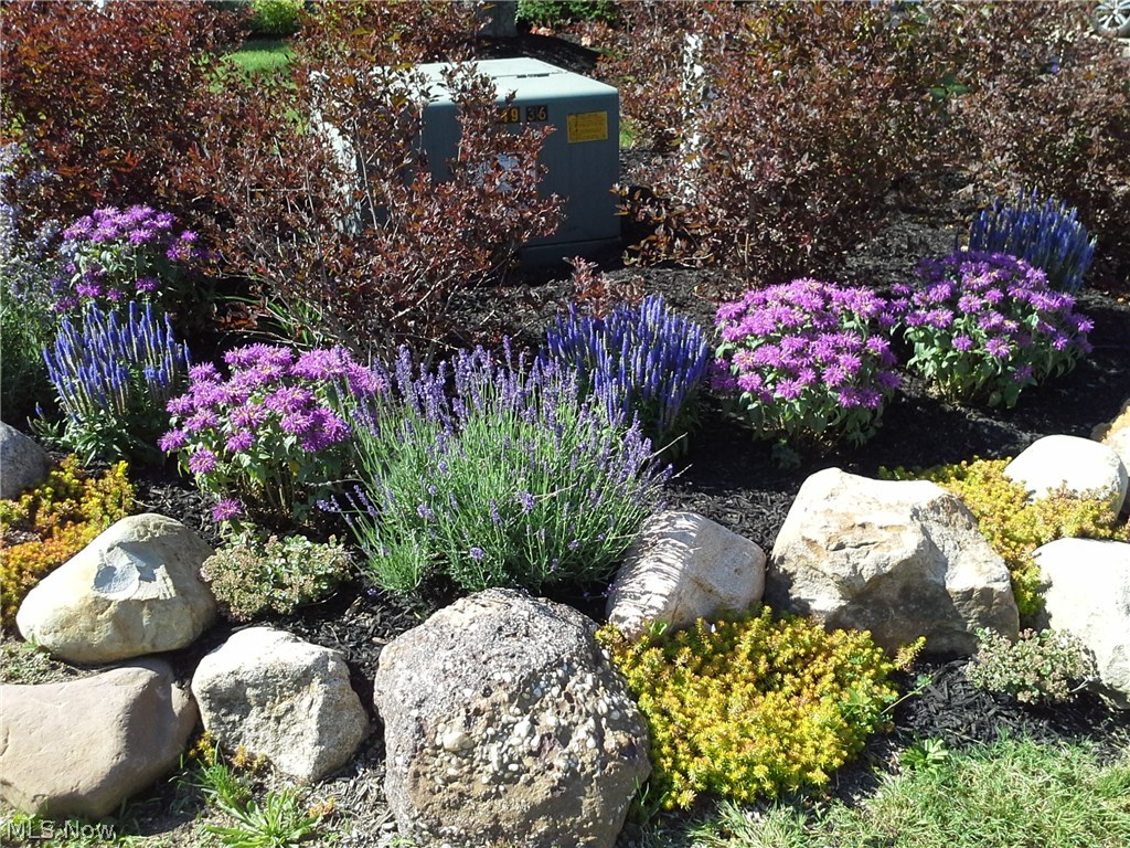 Woods Burlington - Residential