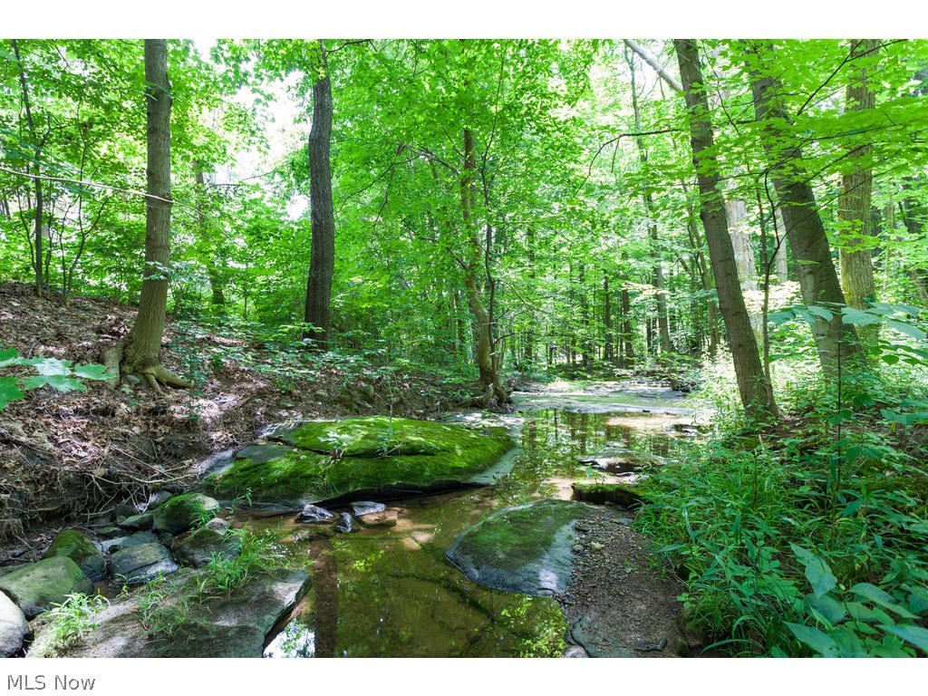 Deer Run Oval - Residential