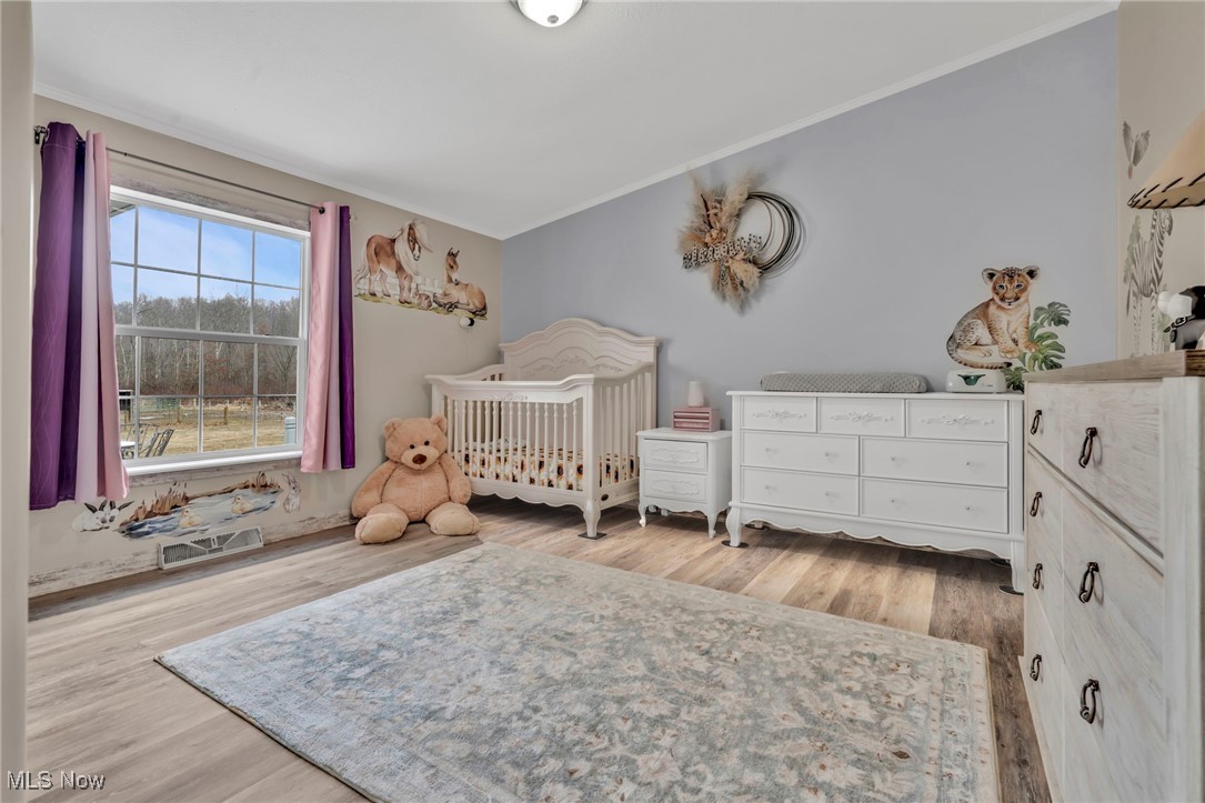 8541 Lee Road, Malvern, Ohio image 41