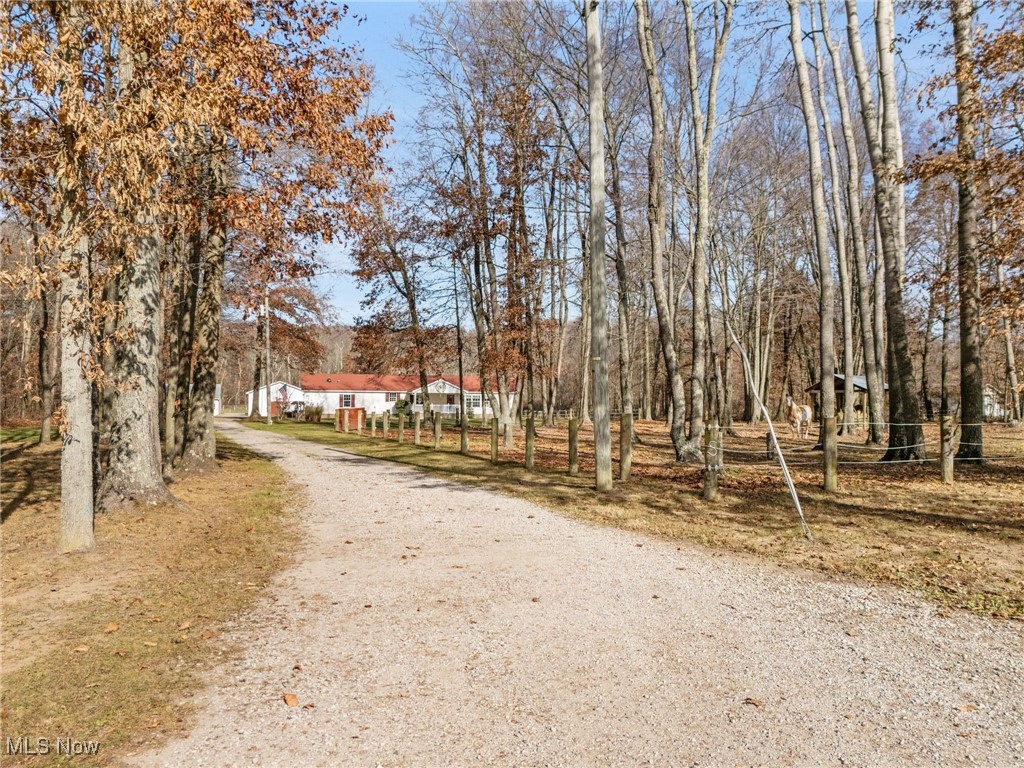 8541 Lee Road, Malvern, Ohio image 25