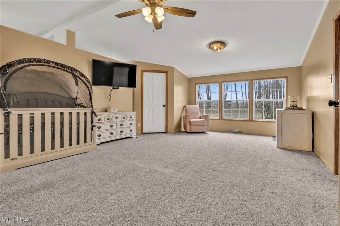 8541 Lee Road, Malvern, Ohio image 47