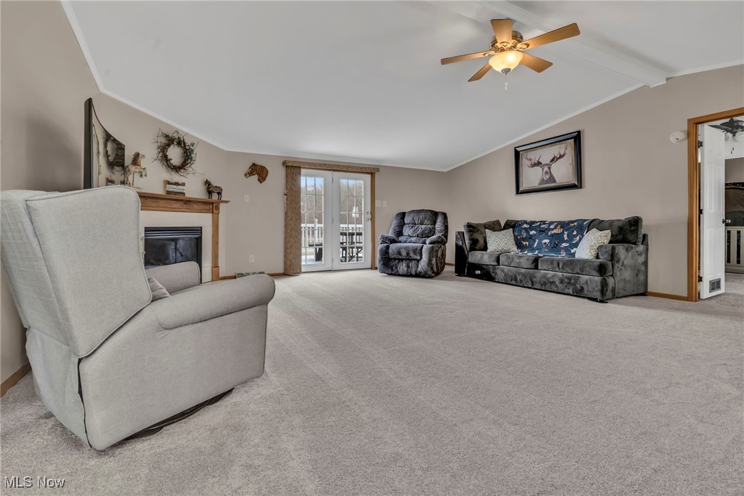 8541 Lee Road, Malvern, Ohio image 32
