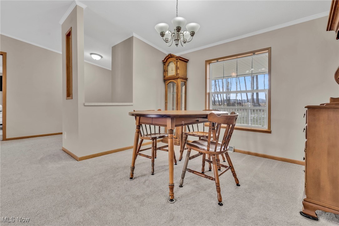 8541 Lee Road, Malvern, Ohio image 35