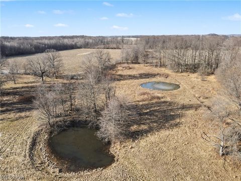 Tiny photo for 4530 W Middletown Road, Canfield, OH 44406 (MLS # 5189666)