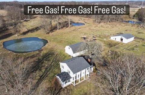 Tiny photo for 4530 W Middletown Road, Canfield, OH 44406 (MLS # 5189666)