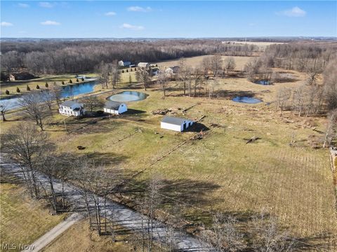 Tiny photo for 4530 W Middletown Road, Canfield, OH 44406 (MLS # 5189666)