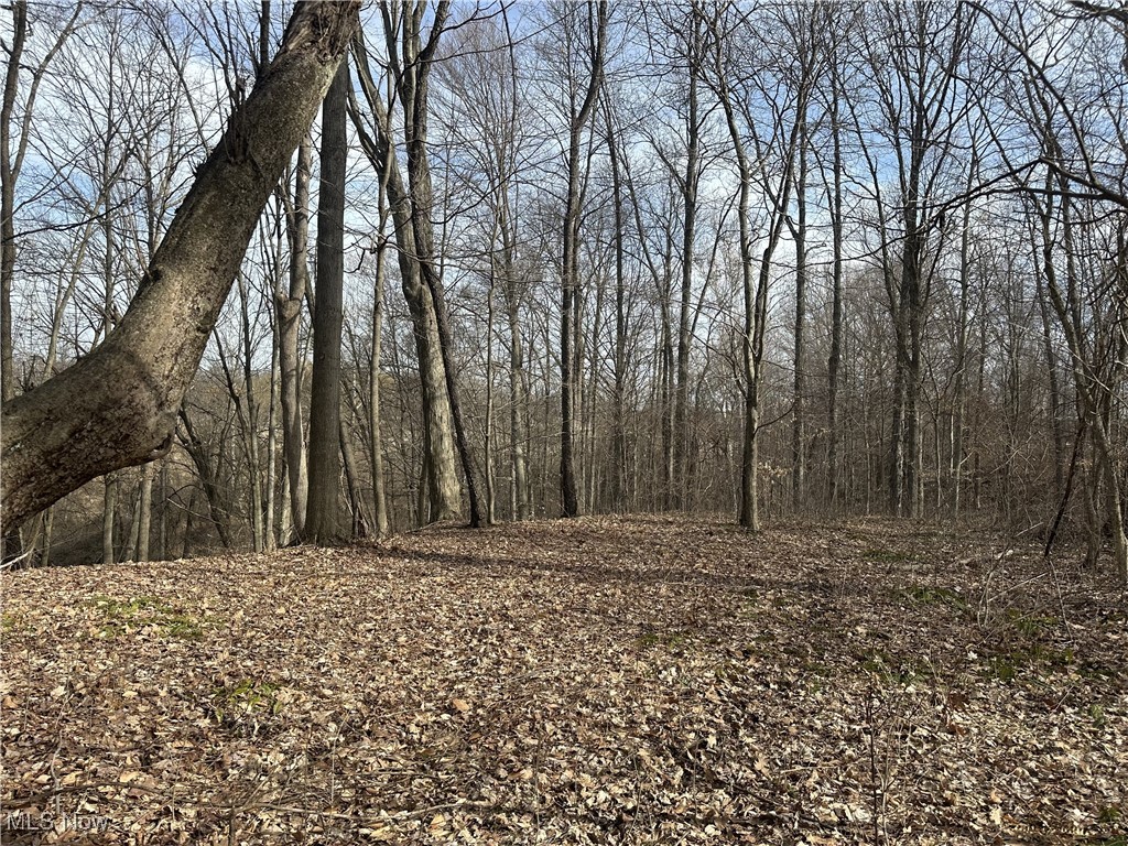 VL Bainbridge Road, Solon, Ohio image 7