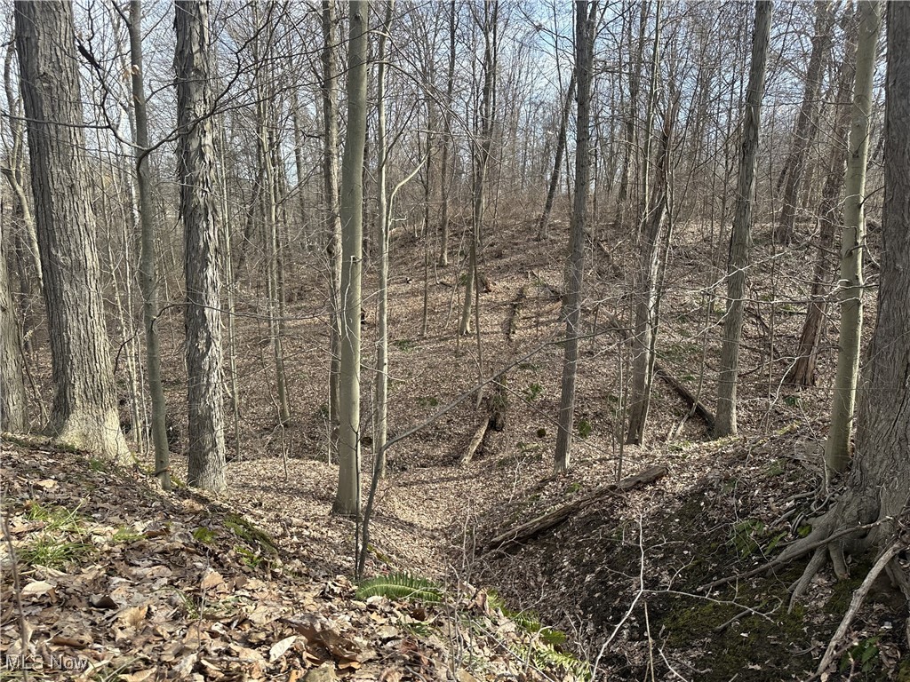 VL Bainbridge Road, Solon, Ohio image 9