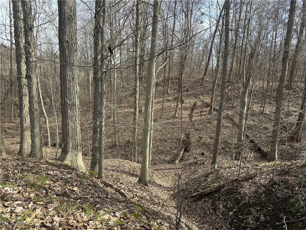 VL Bainbridge Road, Solon, Ohio image 12
