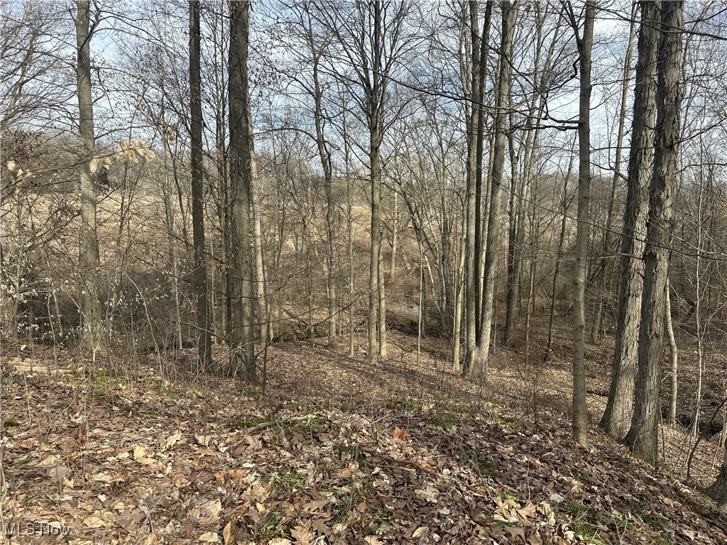 VL Bainbridge Road, Solon, Ohio image 8