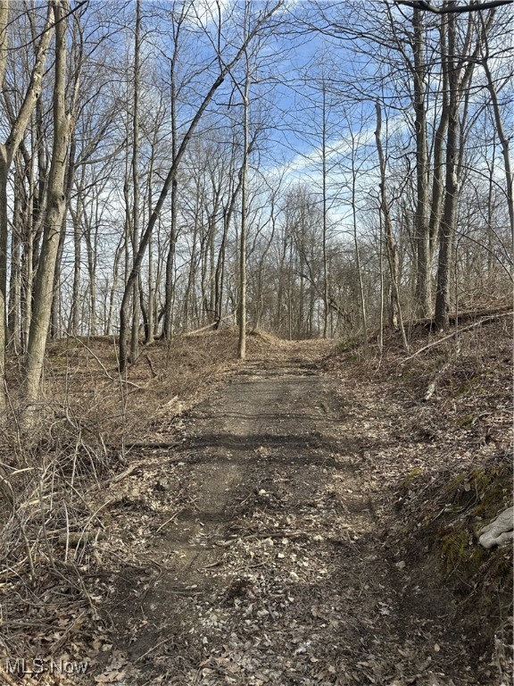 VL Bainbridge Road, Solon, Ohio image 11