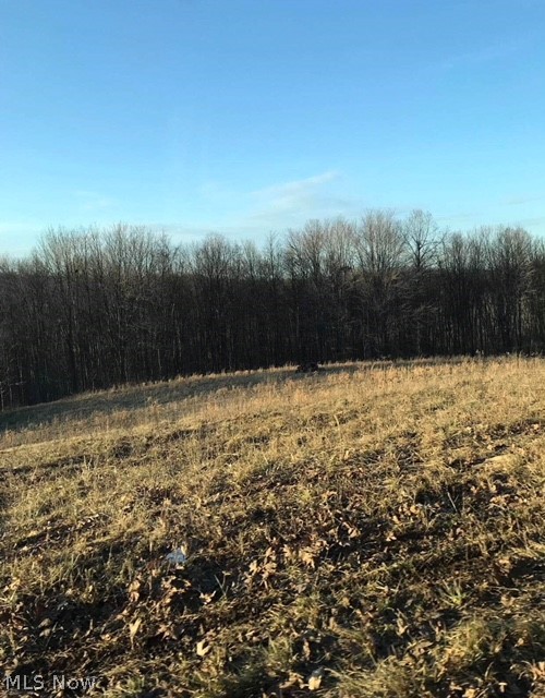 11+ acres of opportunity near Tappen Lake. Great building site for a home or cabin. Property offers 2 acres of open rolling fields and the rest standing timber. This can be a hunters paradise or the great piece of land to get away on.