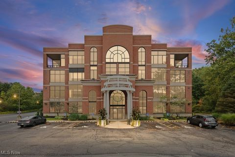 822 Kumho Drive 201 Fairlawn OH 44333