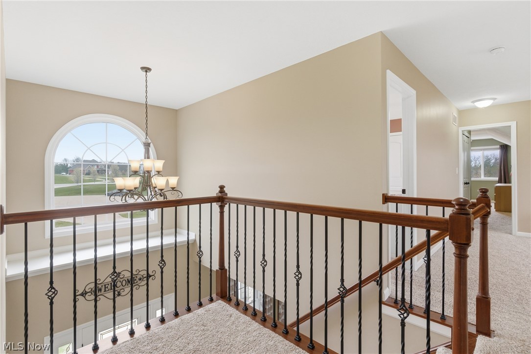 Meadow Preserve - Residential