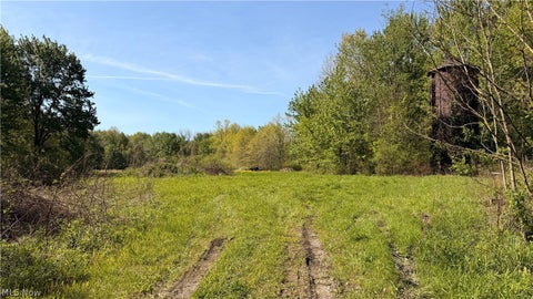 Vacant Land For Sale - Rear<br/> Columbia Station, OH 44028