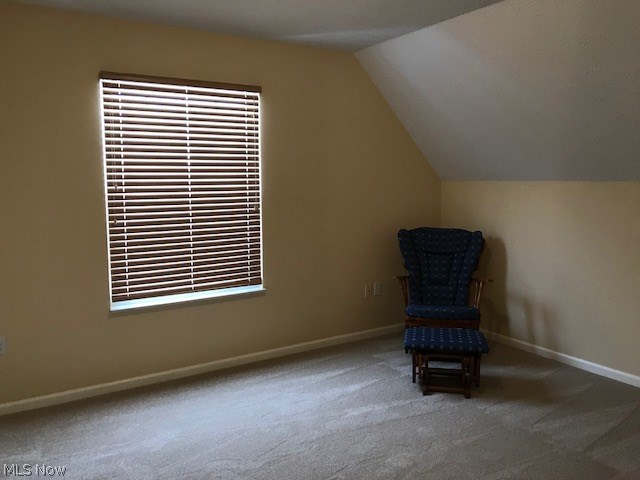 Parkside/Eastwood Village Condo - Residential