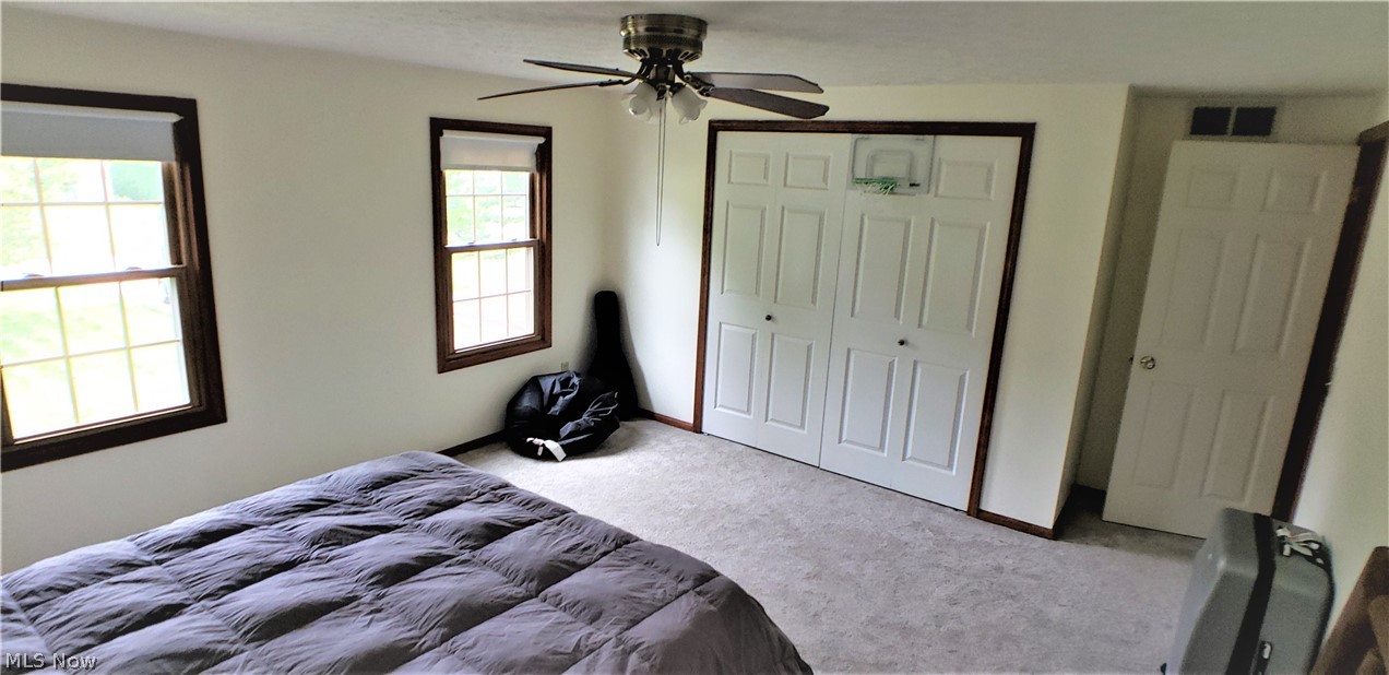 The Pines - Residential