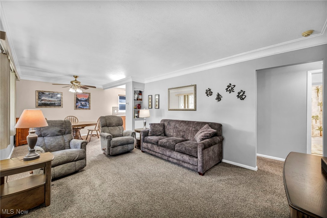 6274 Anita Drive