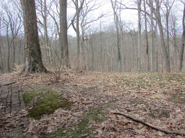 Yellow Creek Woods - Residential