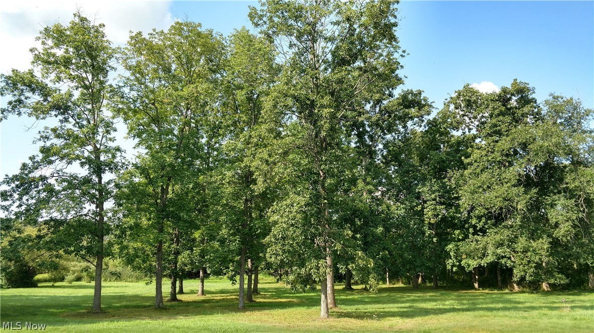 Village/Richfield 03 - Land