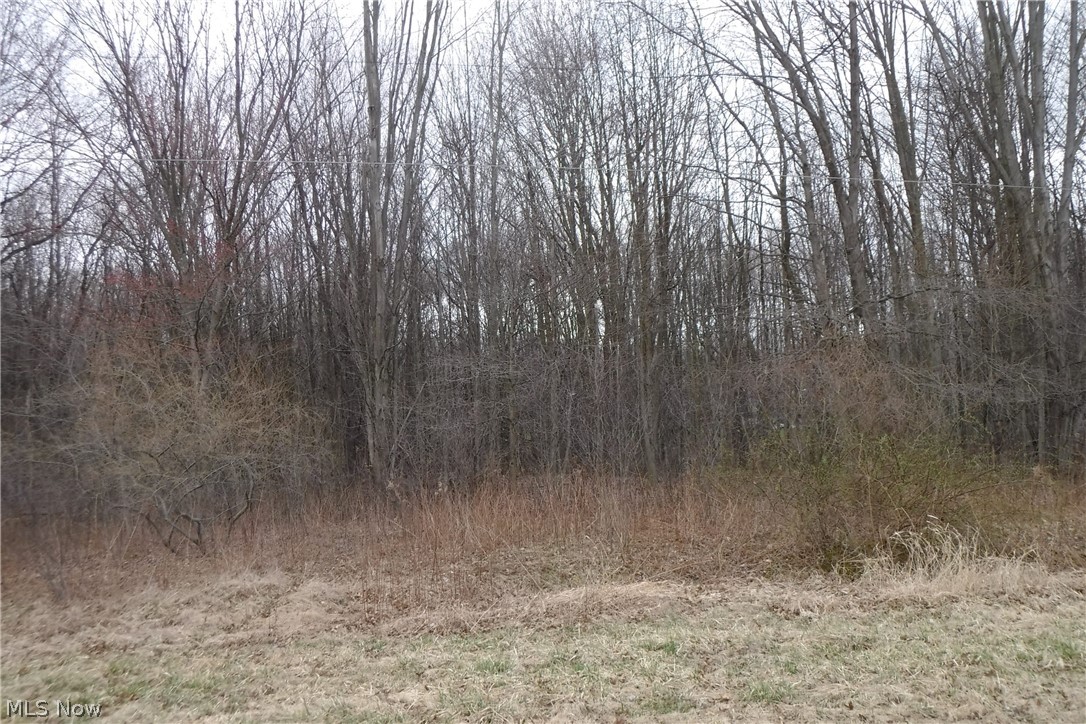 2 Entrance possibility. Could be nice housing development. Good school system, many job opportunities within a close distance. See sketch of land plot. Nice land with sewer and water hookups available. Slightly rolling land, small stream cuts across, slighty rolling area.