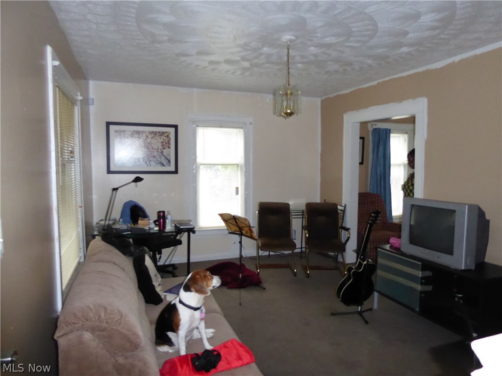 Homestead - Residential