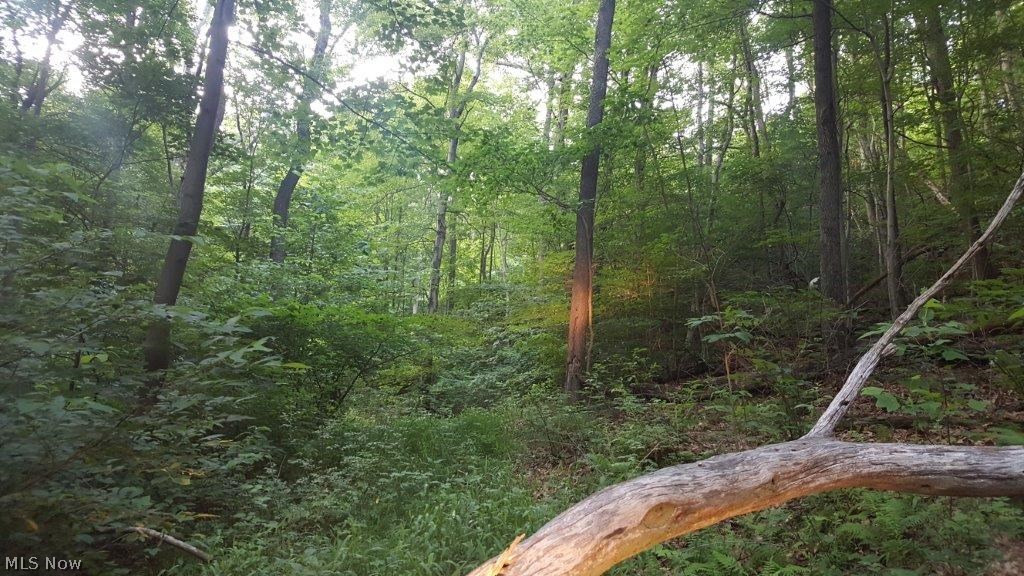 Carla Y Anderson Debra Wills B - Land