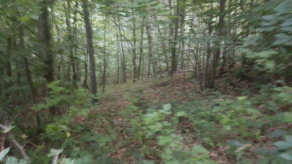 Carla Y Anderson Debra Wills B - Land