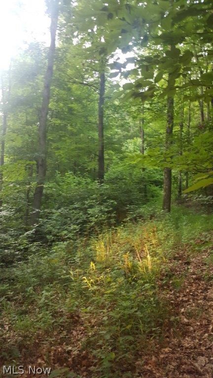 Carla Y Anderson Debra Wills B - Land