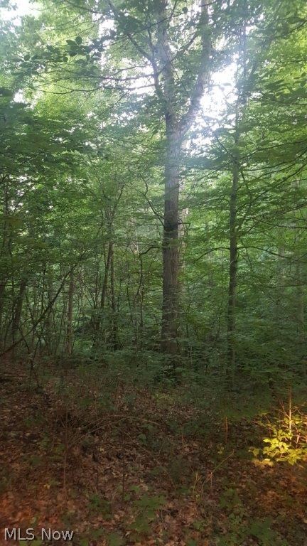 Carla Y Anderson Debra Wills B - Land