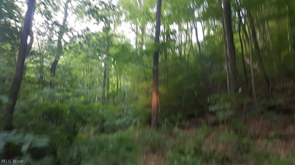 Carla Y Anderson Debra Wills B - Land