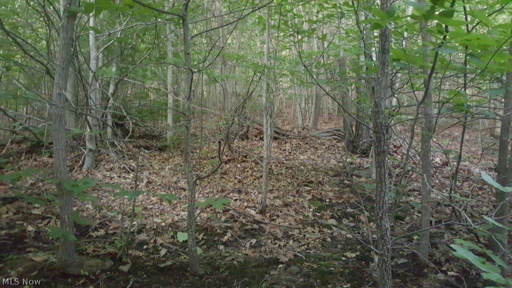 Carla Y Anderson Debra Wills B - Land