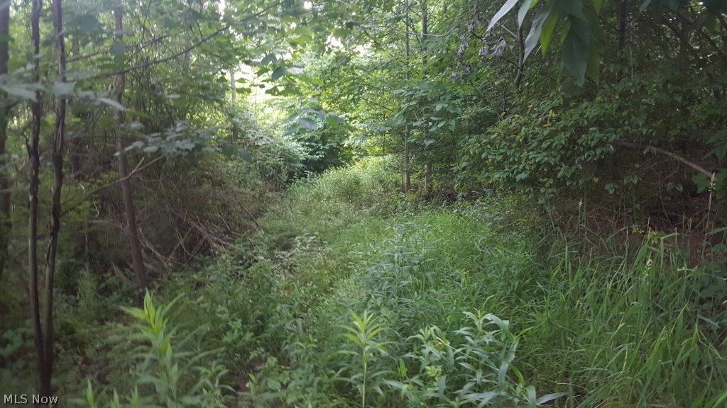 Carla Y Anderson Debra Wills B - Land