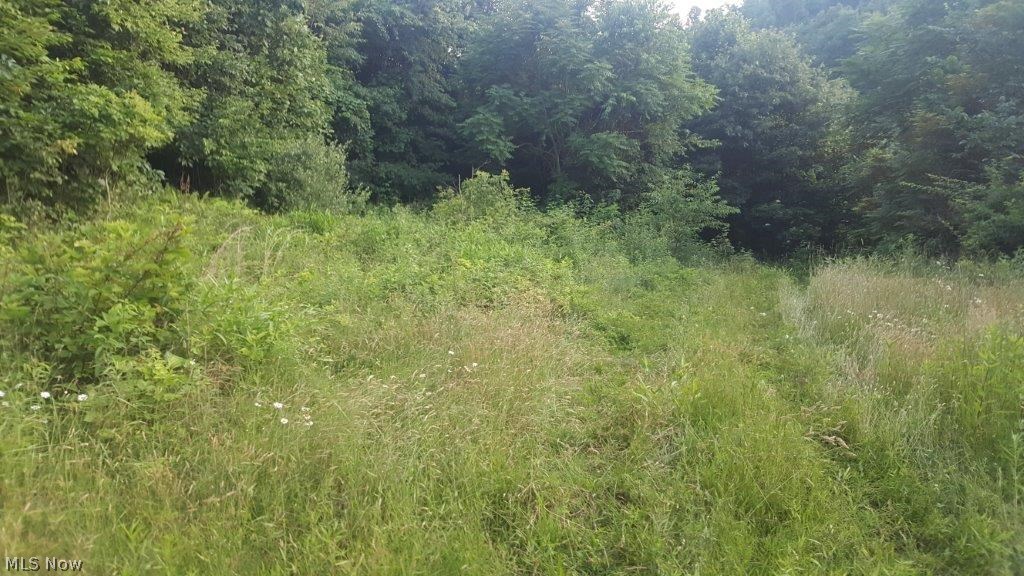 Carla Y Anderson Debra Wills B - Land