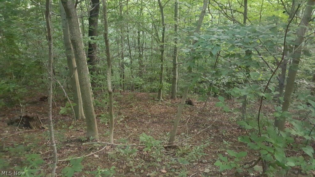 Carla Y Anderson Debra Wills B - Land