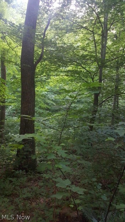 Carla Y Anderson Debra Wills B - Land