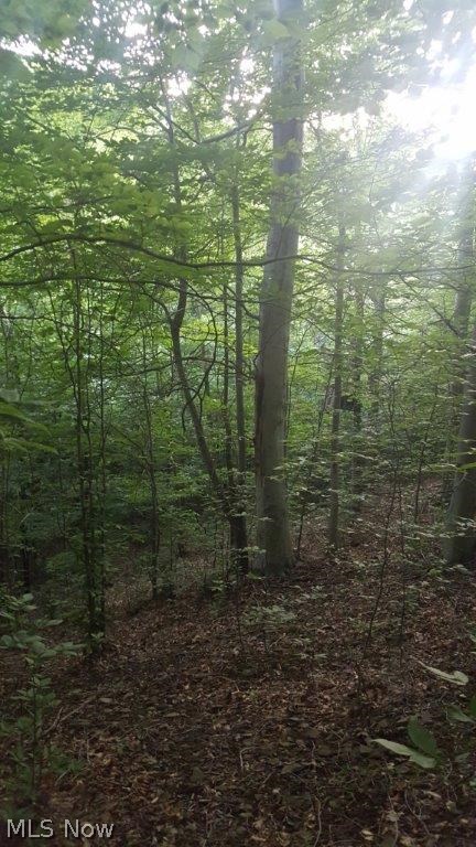 Carla Y Anderson Debra Wills B - Land