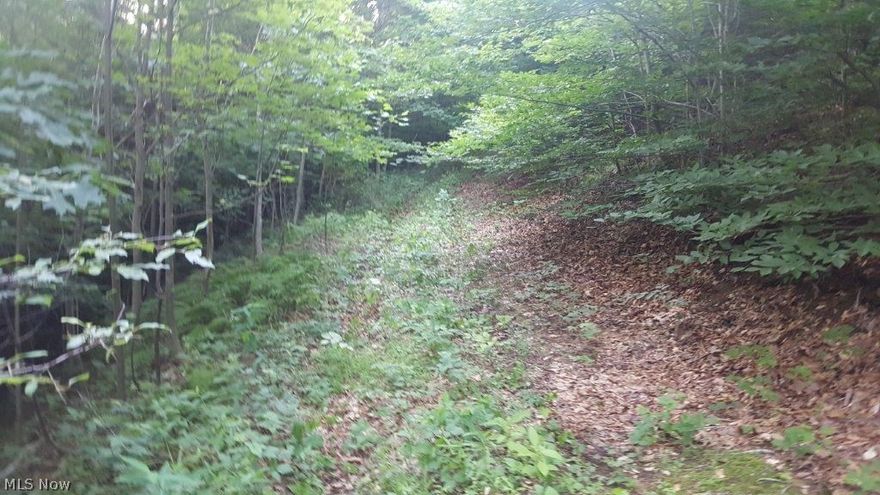 Located just minutes from I-77, this property has much to offer. There is a good modular home with foundation that has 3 bedrooms, 2 full baths, kitchen, dining room and living room. The outside has a large barn and a cleared area for some livestock or a couple horses. Private well and septic & electric forced air heat complete the utilities. Behind the property you will find a hunters paradise with some ATV trails , a hunting blind as well as a few open areas to put in food plots. If you’re looking for a secluded setting with room for some horses or livestock or just a place to do some hunting this property has both. Feel free to walk the land at your convenience and risk prior to auction.Parcel 1: 24.834 acres with home and barn. Approx. 250’ frontage on Green Ridge Rd.
Parcel 2: 50.45 acres wooded land. Approx. 1135’ frontage on Green Ridge Rd.
Taxes and Legal: Tuscarawas County parcel numbers 24-00029-000, 59-00036-000, 59-00473-002, and 59-00473-012. Taxes are currently $1048.82