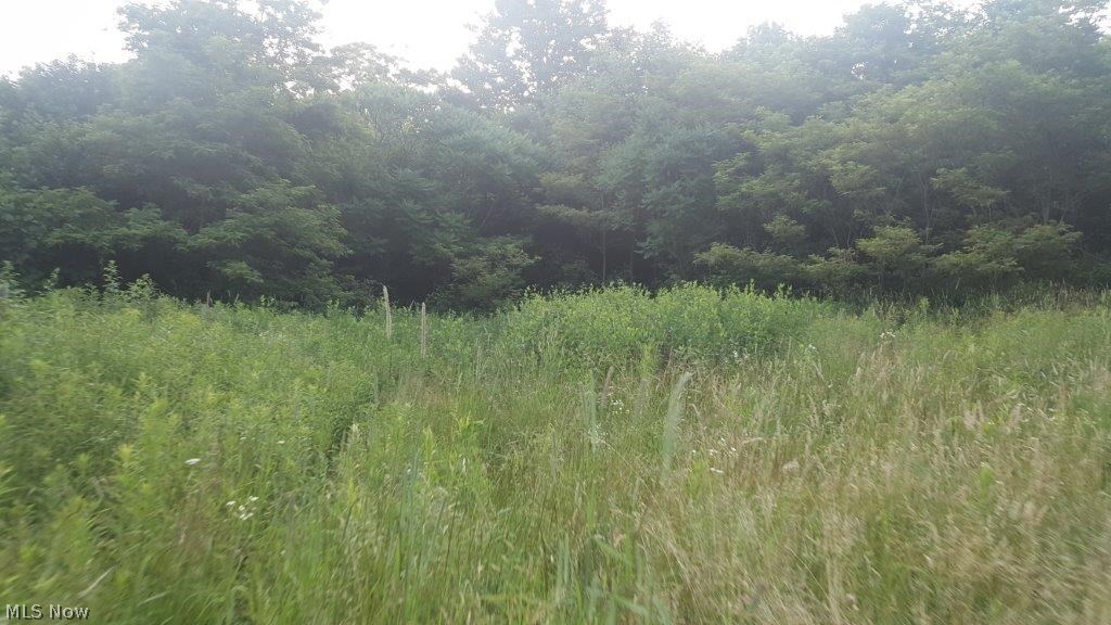 Carla Y Anderson Debra Wills B - Land